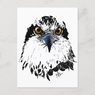 Cartes Pour Fêtes Annuelles Osprey Dessin noir blanc avec yeux percés