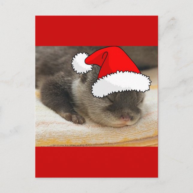 Cartes Pour Fêtes Annuelles Otter de Noël (Devant)