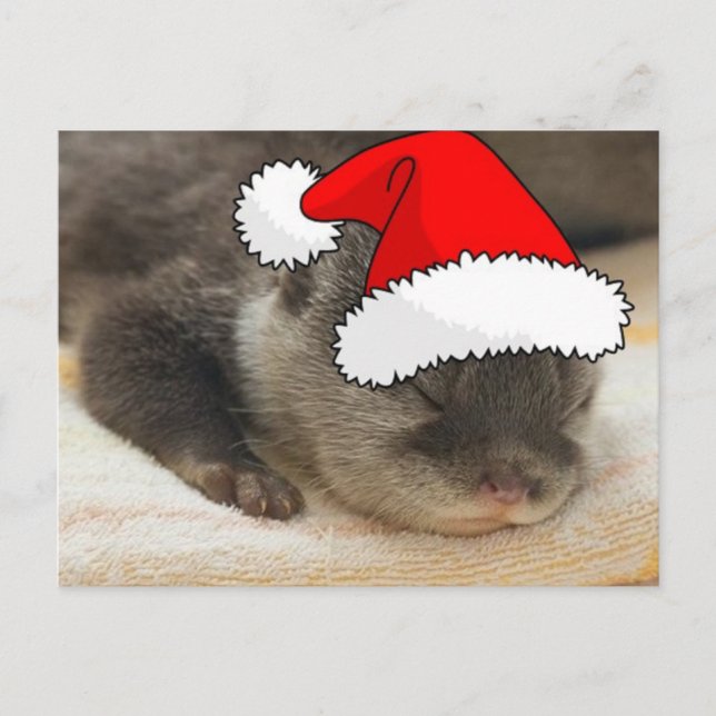 Cartes Pour Fêtes Annuelles Otter de Noël (Devant)