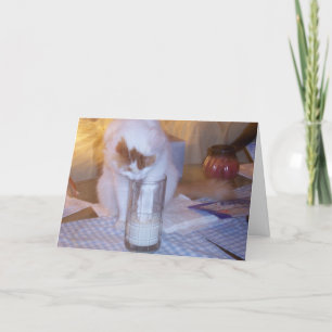 CARTES POUR FÊTES ANNUELLES "OÙ" SONT LES OREOS ?