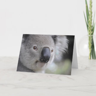 Cartes Pour Fêtes Annuelles Ours de Koala