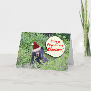 Cartes Pour Fêtes Annuelles Ours de Noël