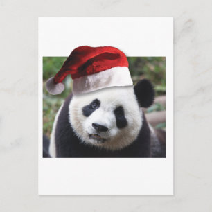 Cartes Pour Fêtes Annuelles Ours de panda Noël