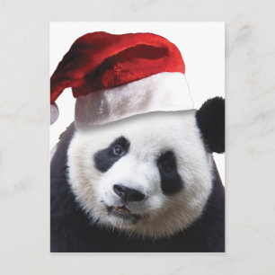 Cartes Pour Fêtes Annuelles Ours de panda Noël