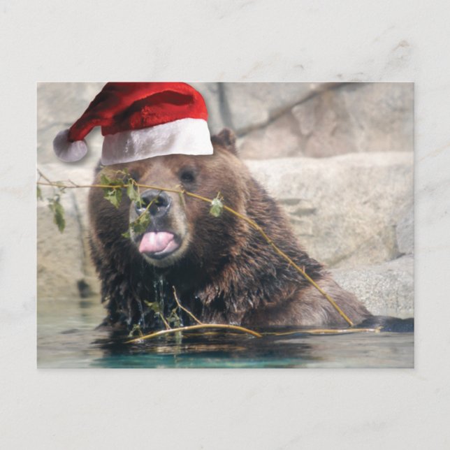 Cartes Pour Fêtes Annuelles Ours grizzli dans un chapeau de Père Noël (Devant)