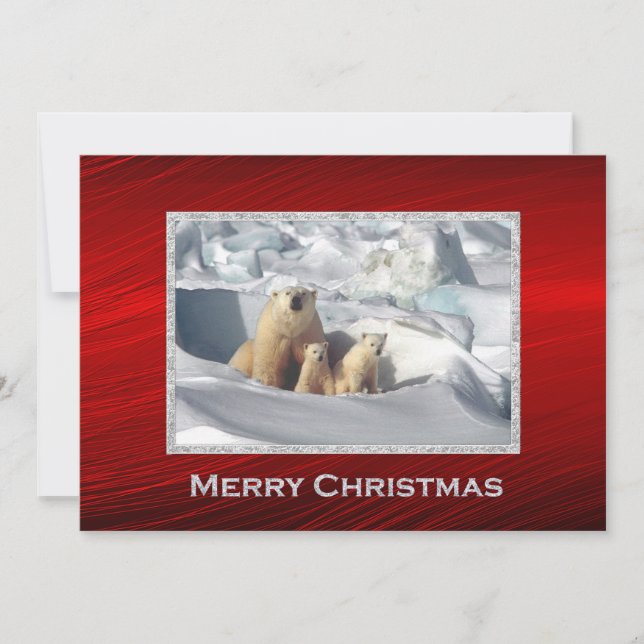Cartes Pour Fêtes Annuelles Ours Polaire Cubs Neige Photo Appartement de Noël (Devant)