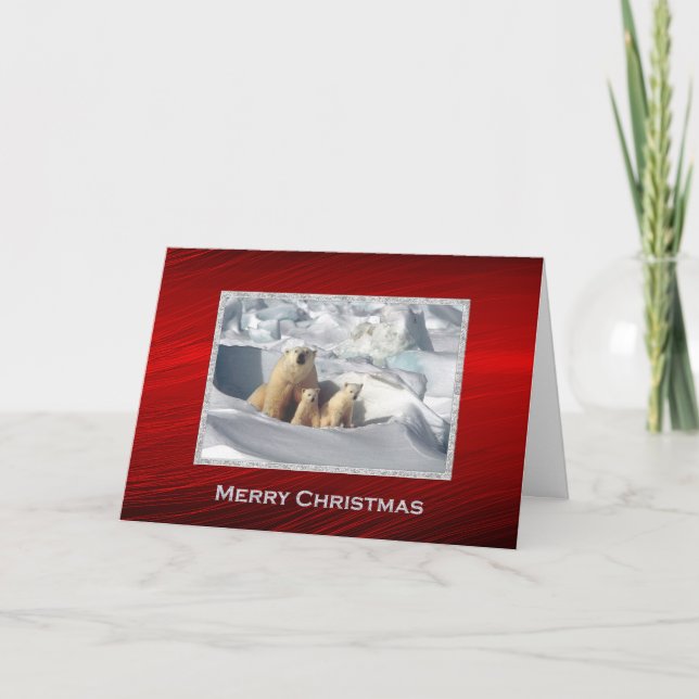 Cartes Pour Fêtes Annuelles Ours Polaire Cubs Neige Photo Noël (Devant)