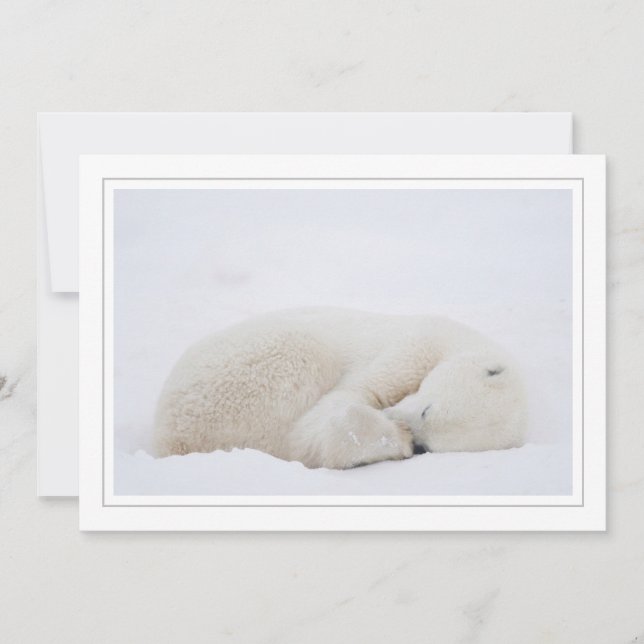 Cartes Pour Fêtes Annuelles Ours polaire dormant (Devant)