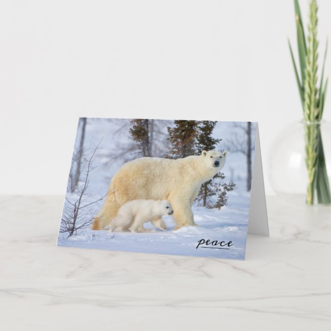 Cartes Pour Fêtes Annuelles Ours polaire Mère et Cub sur la toundra (Devant)