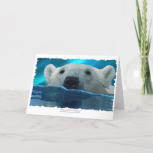 CARTES POUR FÊTES ANNUELLES OURS POLAIRE NAGEANT