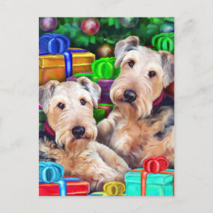 Cartes Pour Fêtes Annuelles Ouverture de Noël Airedale