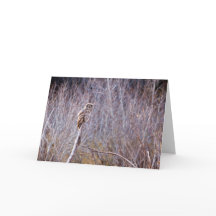 Owl vous souhaite des Joyeuses Fêtes