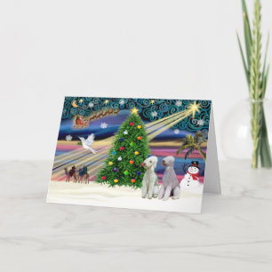 Cartes Pour Fêtes Annuelles Paire XmasMagic-Bedlington