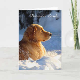 Cartes Pour Fêtes Annuelles Paix