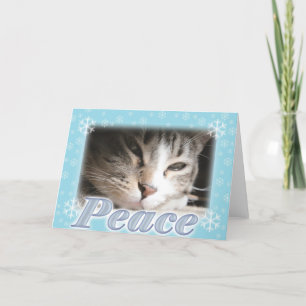 Cartes Pour Fêtes Annuelles Paix