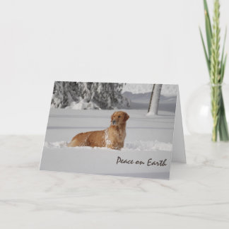 Cartes Pour Fêtes Annuelles Paix de neige sur terre