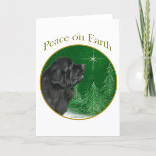 Cartes Pour Fêtes Annuelles Paix de Terre-Neuve