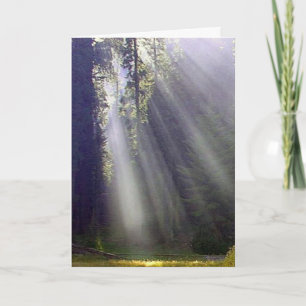 Cartes Pour Fêtes Annuelles Paix et joie