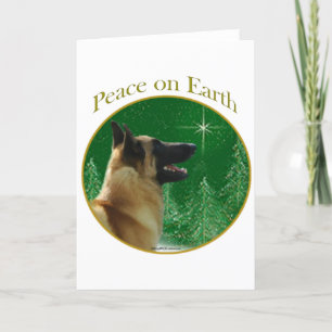 Cartes Pour Fêtes Annuelles Paix malinoise belge