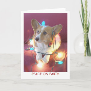 Cartes Pour Fêtes Annuelles Paix sur Terre