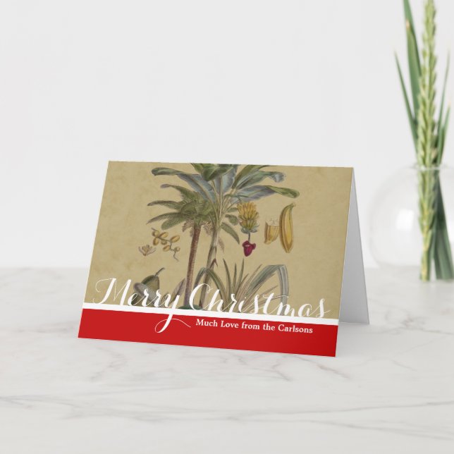 Cartes Pour Fêtes Annuelles Palm Antique Fruit Tropical Art Botanique (Devant)