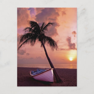 Cartes Pour Fêtes Annuelles Palm Tree and Boat Beach Sunset