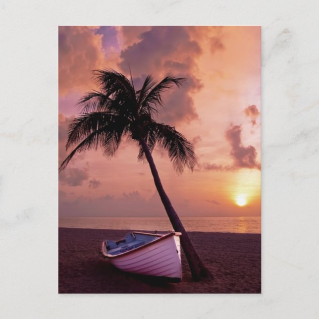 Cartes Pour Fêtes Annuelles Palm Tree and Boat Beach Sunset (Devant)