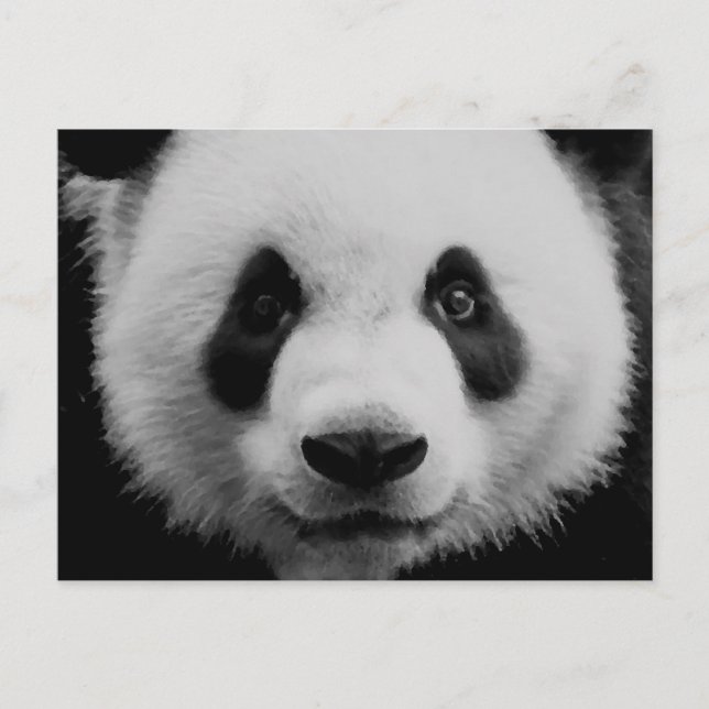 Cartes Pour Fêtes Annuelles Panda (Devant)
