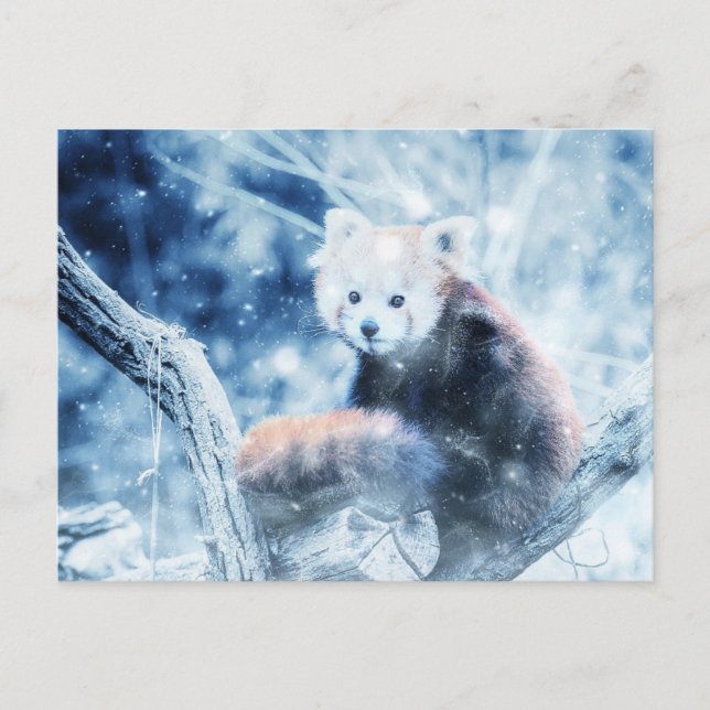 Cartes Pour Fêtes Annuelles Panda Rouge vintage Dans La Neige (Devant)