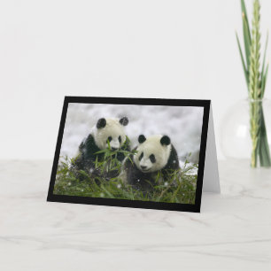 Cartes Pour Fêtes Annuelles Pandas géants