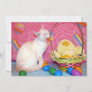 Cartes Pour Fêtes Annuelles Panier de Pâques de Tiffany - Chat/ Chatons  - Car