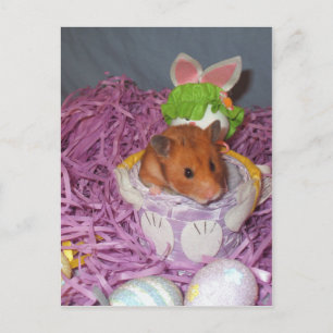 Cartes Pour Fêtes Annuelles Panier Hammy de Pâques