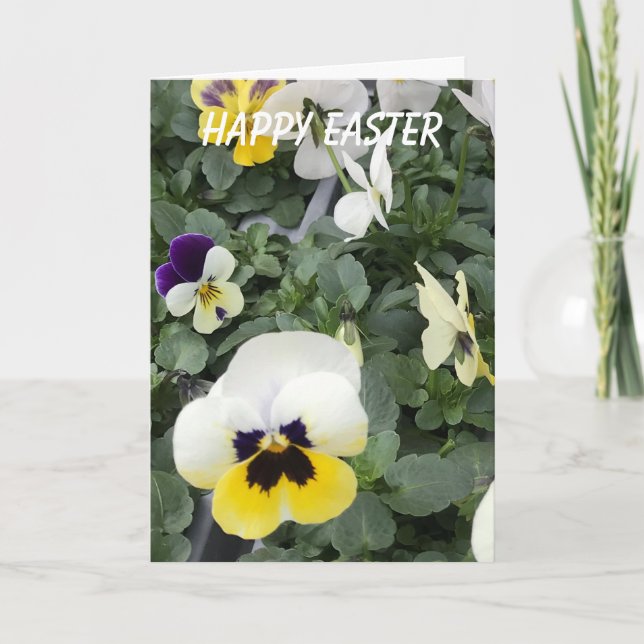 Cartes Pour Fêtes Annuelles Pansies colorées Pâques (Devant)