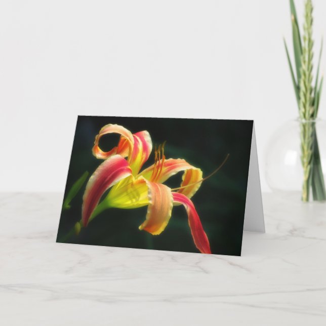 Cartes Pour Fêtes Annuelles Pantalon père Noël diurne (Devant)