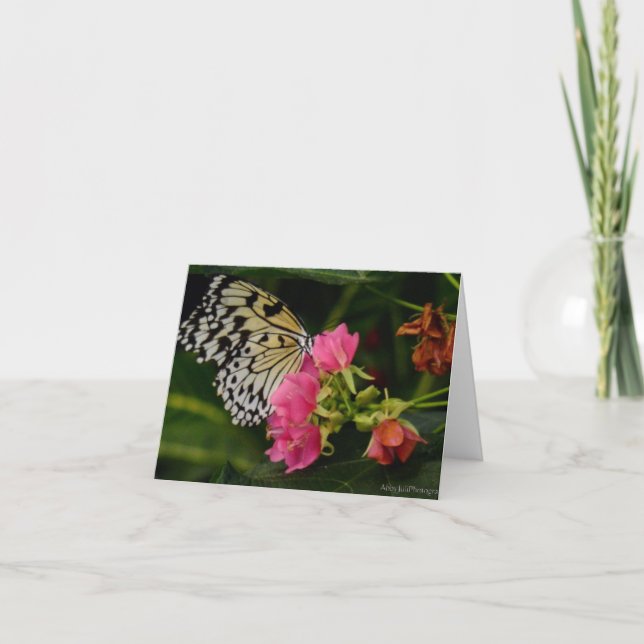 Cartes Pour Fêtes Annuelles Papillon unique sur les fleurs tropicales roses (Devant)