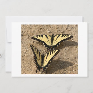 Cartes Pour Fêtes Annuelles Papillons sur la plage