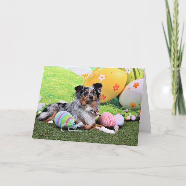 Cartes Pour Fêtes Annuelles Pâques - berger australien - Silas Barker (Devant)