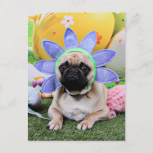 Cartes Pour Fêtes Annuelles Pâques - Carlin - Louie