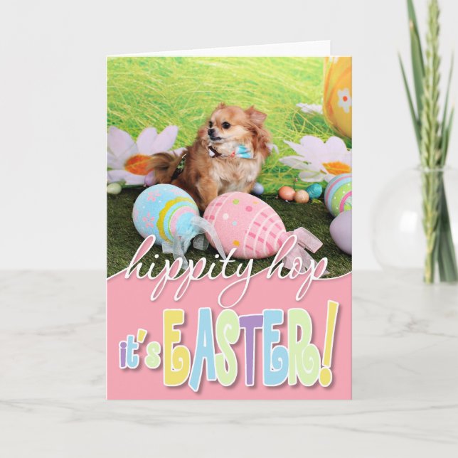 Cartes Pour Fêtes Annuelles Pâques - Chihuahua - Carlito (Devant)