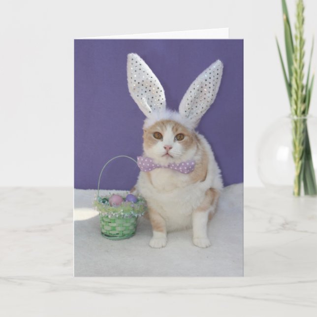 Cartes Pour Fêtes Annuelles Pâques Kitty (Devant)