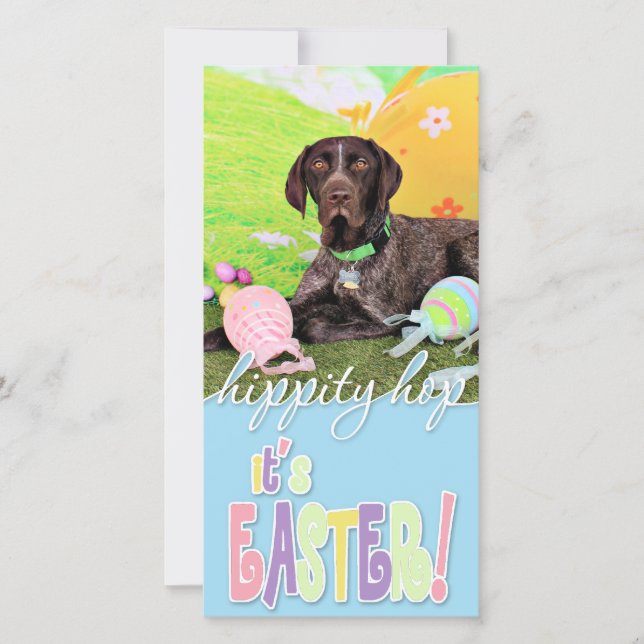 Cartes Pour Fêtes Annuelles Pâques - Pointeur allemand à courte distance - Kai (Devant)