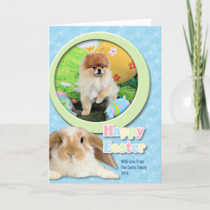 Cartes Pour Fêtes Annuelles Pâques - Pomeranian - Dexter