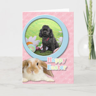 Cartes Pour Fêtes Annuelles Pâques - Poodle - Junior