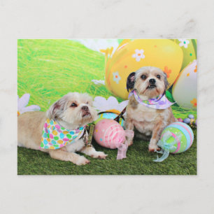 Cartes Pour Fêtes Annuelles Pâques - Shih Tzu - Clementine et Winston