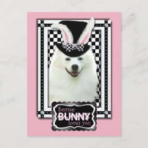 Cartes Pour Fêtes Annuelles Pâques - un certain lapin vous aime - Eskie