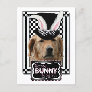 Cartes Pour Fêtes Annuelles Pâques - un certain lapin vous aime - golden