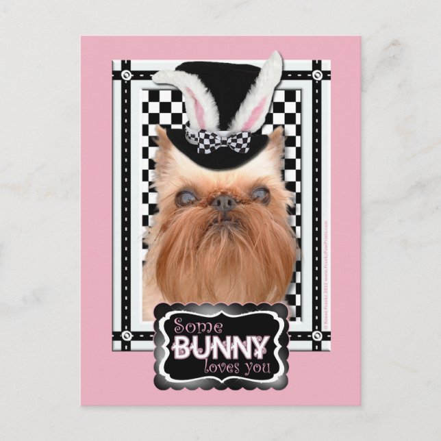 Cartes Pour Fêtes Annuelles Pâques - Un Lapin Vous Aime - Bruxelles Griffon (Devant)