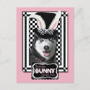 Cartes Pour Fêtes Annuelles Pâques - Un Lapin Vous Aime - Husky