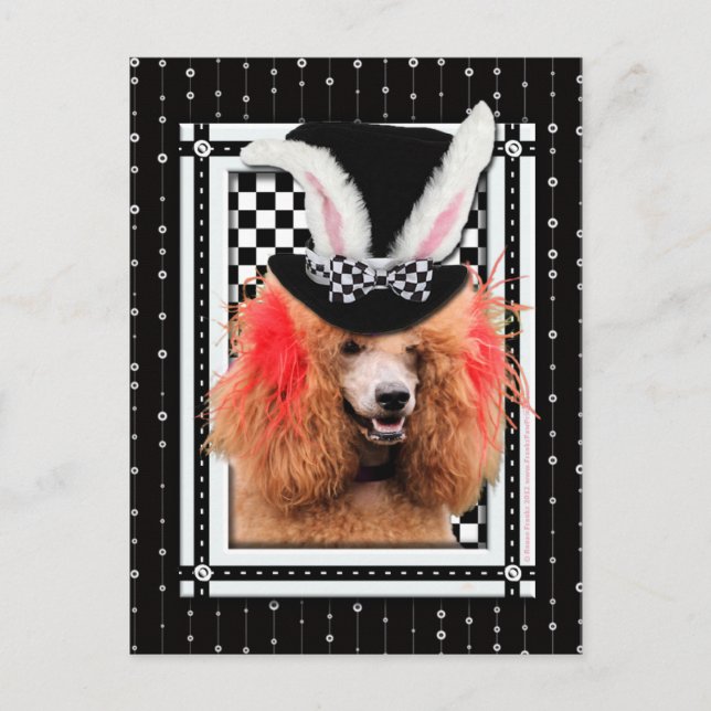Cartes Pour Fêtes Annuelles Pâques - Un Lapin Vous Aime - Poodle - Rouge (Devant)