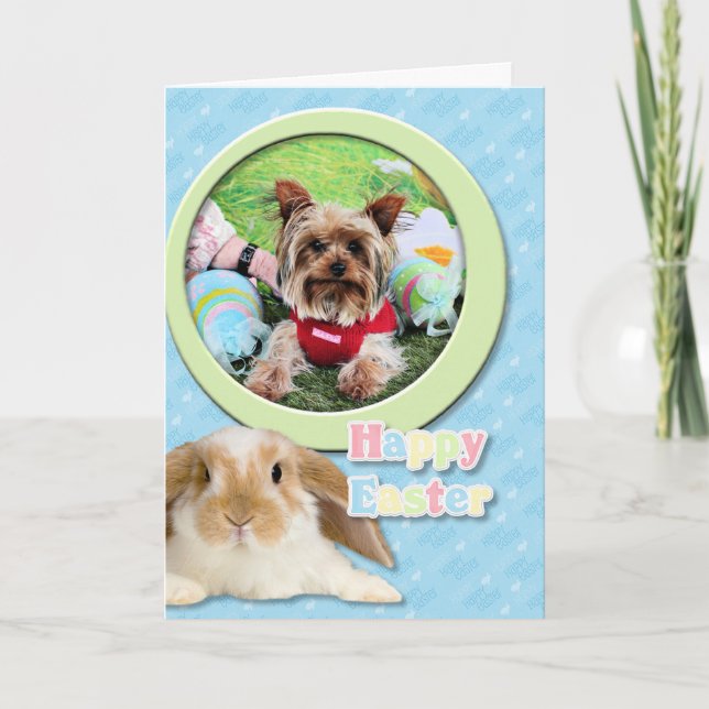 Cartes Pour Fêtes Annuelles Pâques - Yorkshire Terrier - Sassy (Devant)